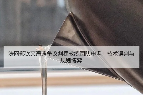 fa-wang-zheng-qin-wen-zao-yu-zheng-yi-pan-fa-jiao-lian-tuan-dui-shen-su-ji-shu-wu-pan-yu-gui-ze-bo-yi-2-155.jpg